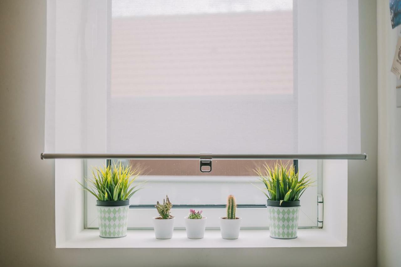 Green House / Casa Verde 波尔图 外观 照片